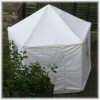 Pentagon Temporary Structure